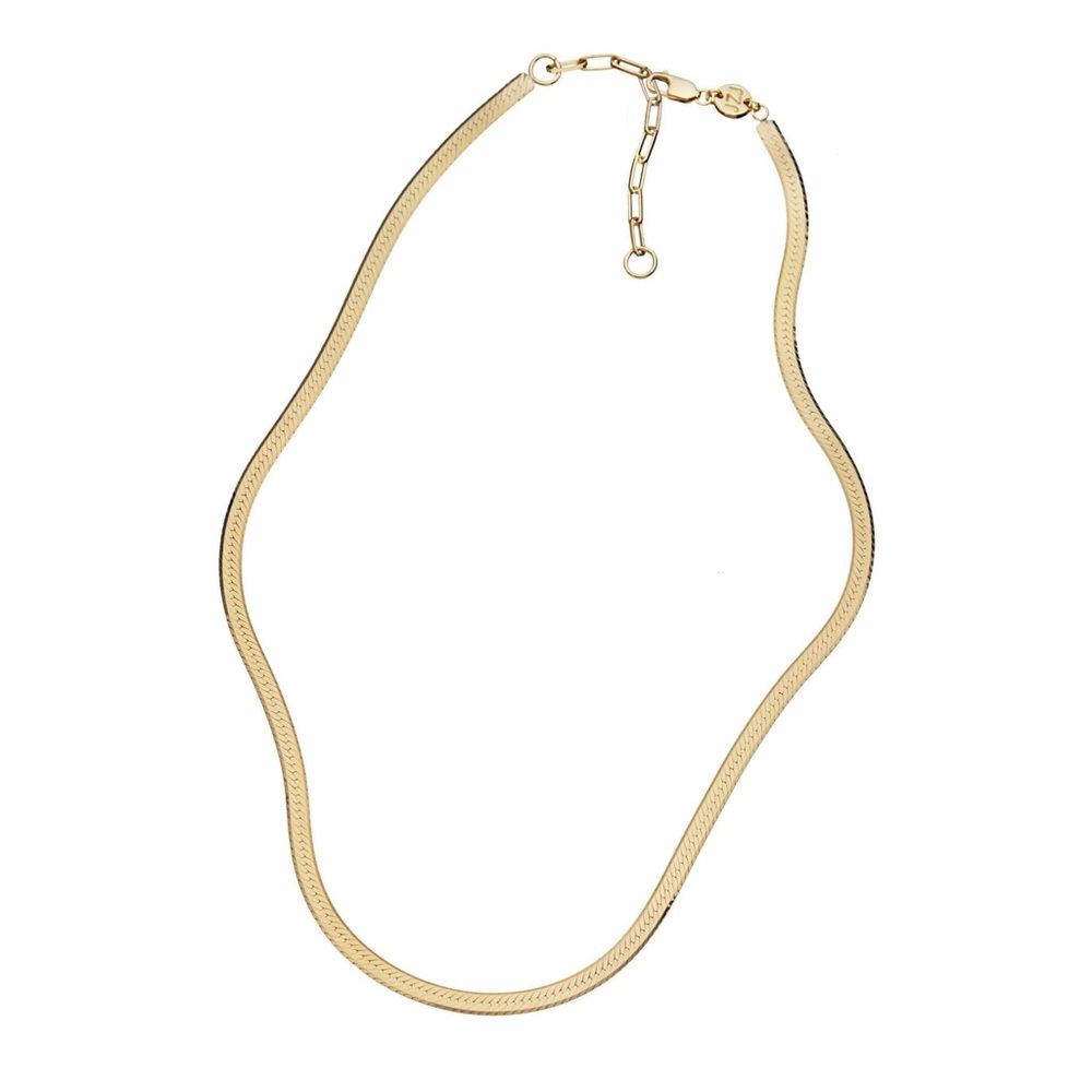 New Jennifer Zeuner Jewelry Hamilton Necklace | 14k Gold Plated | Herringbone